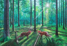 Load image into Gallery viewer, Iteration 45: Fox Hollow - Canvas