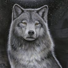 Load image into Gallery viewer, gray wolf