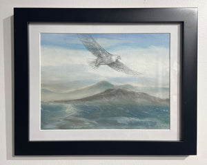 Eagle Over Mountains 1