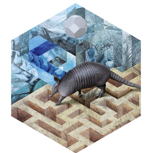 armadillo painting, armadillo art, texas art, sacred geometry and animal