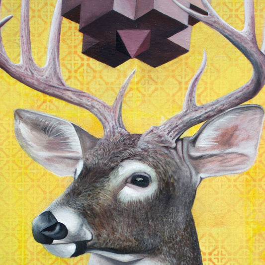 Iteration 51: Providence - Canvas