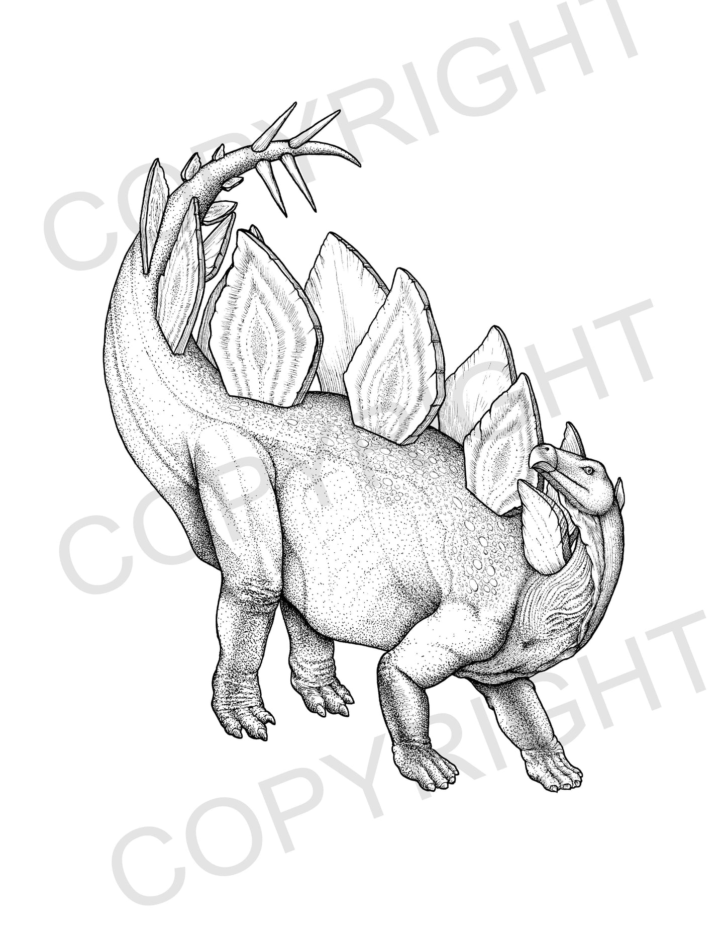 dinosaur, dinosaur drawing, dinosaur art, prehistoric art, stegosaurus