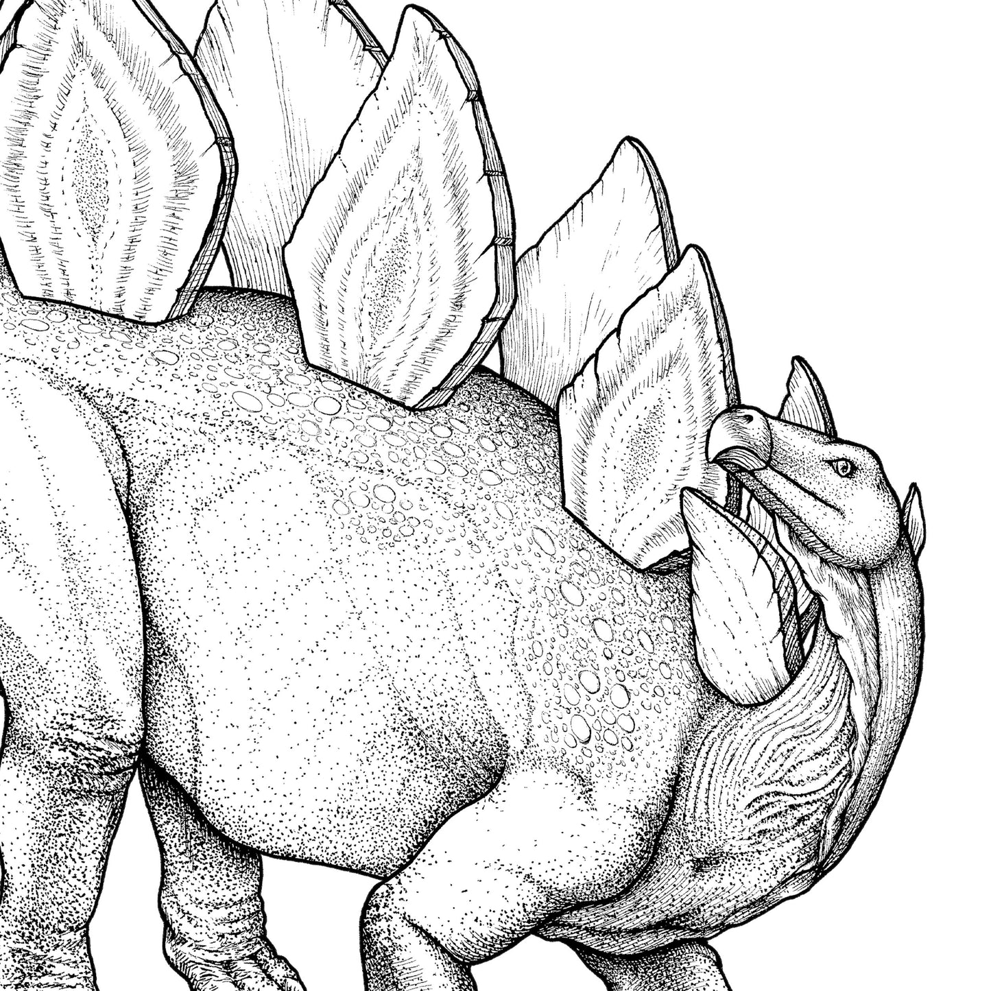 dinosaur, dinosaur drawing, dinosaur art, prehistoric art, stegosaurus