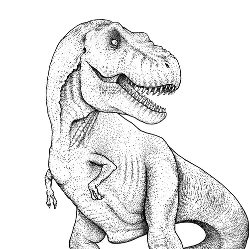 T-Rex, Tyrannosaurus, dinosaur, dinosaur drawing, dinosaur art