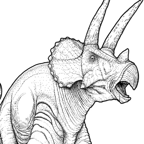Triceratops, dinosaur, dinosaur drawing, dinosaur art, prehistoric art