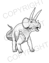 Load image into Gallery viewer, Triceratops, dinosaur, dinosaur drawing, dinosaur art, prehistoric art
