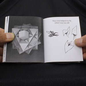 Atlas Metamorphosis - Insect Dreams Storybook