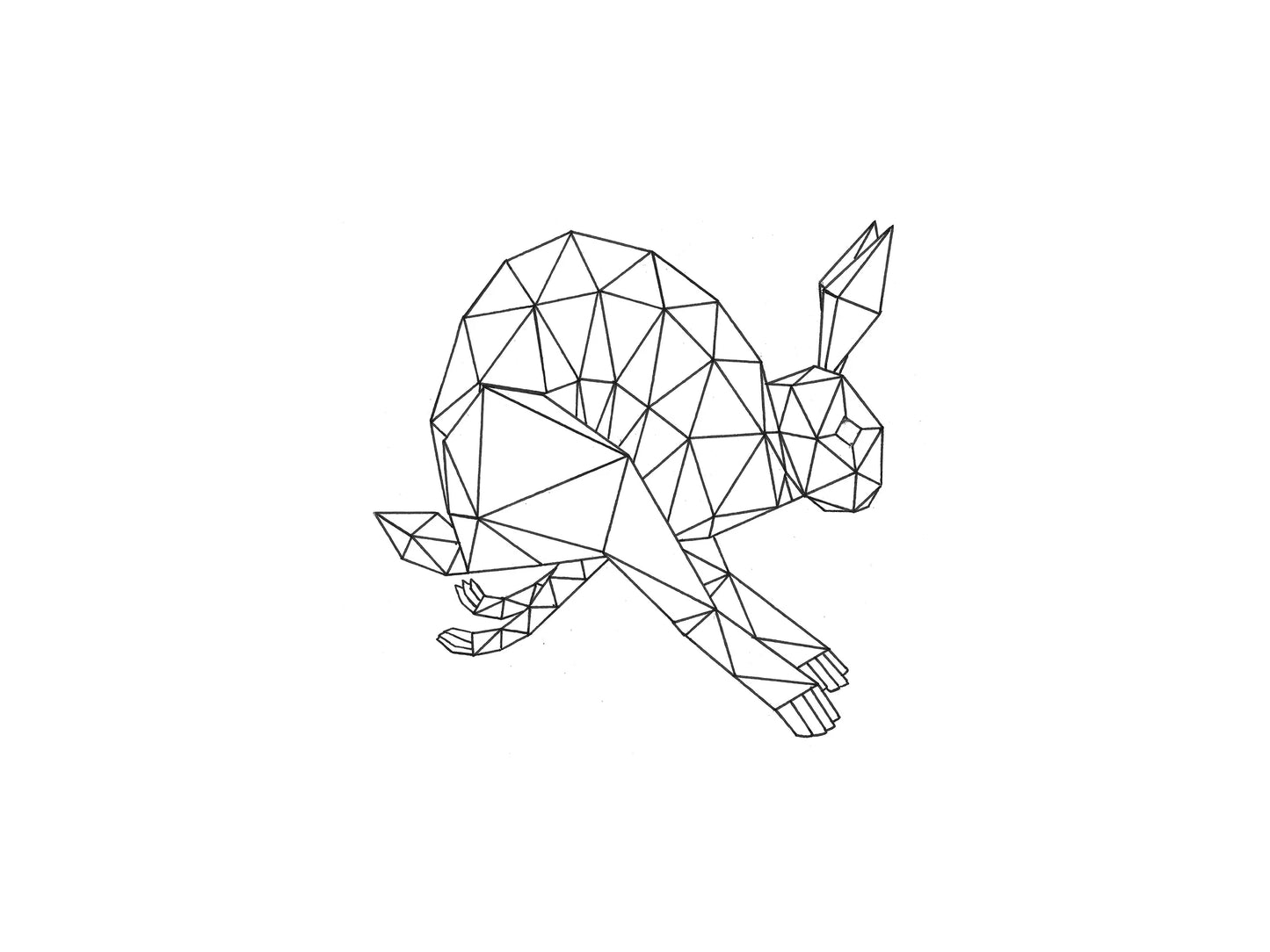 GEOMETRIC RABBIT