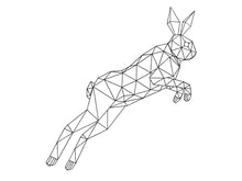 Load image into Gallery viewer, RABBIT DRAWING
