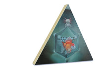 Load image into Gallery viewer, axolotl and goldfish bermuda triangle
