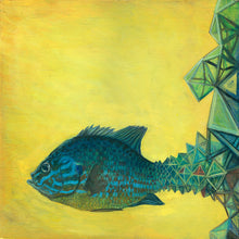 Load image into Gallery viewer, Iteration 2: Pumpkin-Seed Sunfish

