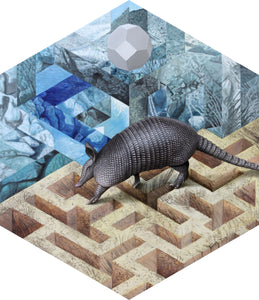 Armadillo Painting