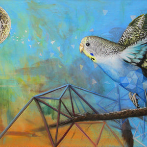 Iteration 75: Budgie Nest in The Sun
