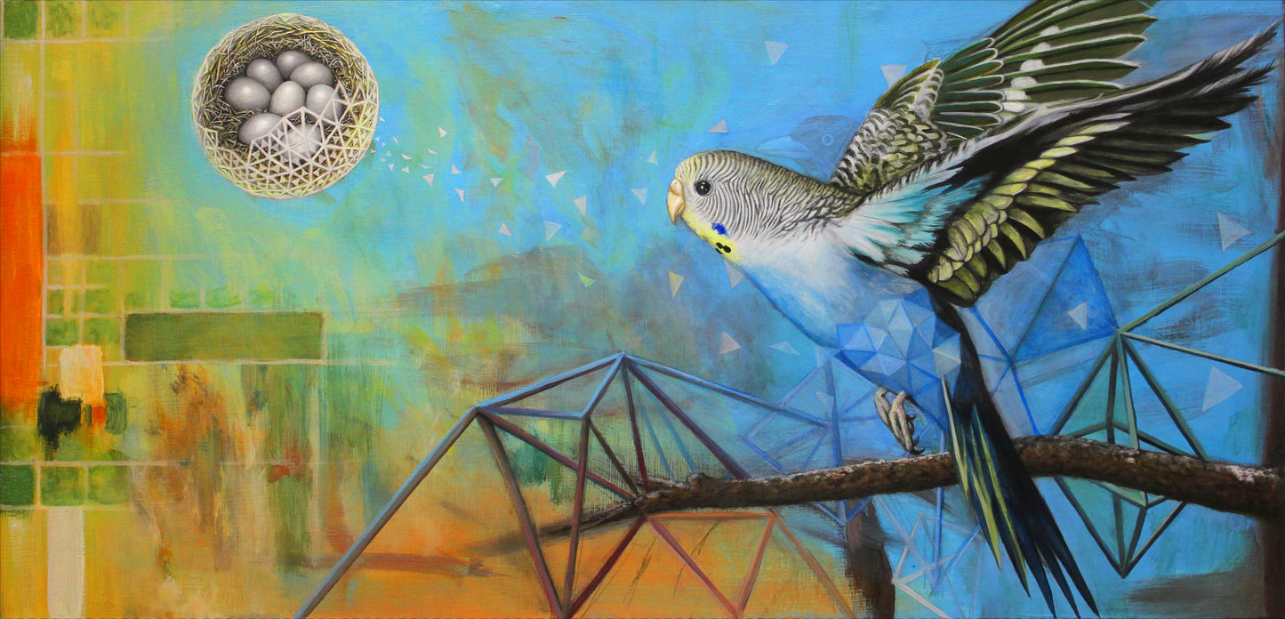 Iteration 75: Budgie Nest in The Sun