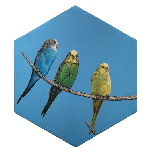Birds of A Feather Flock with Strange Fellers 1
