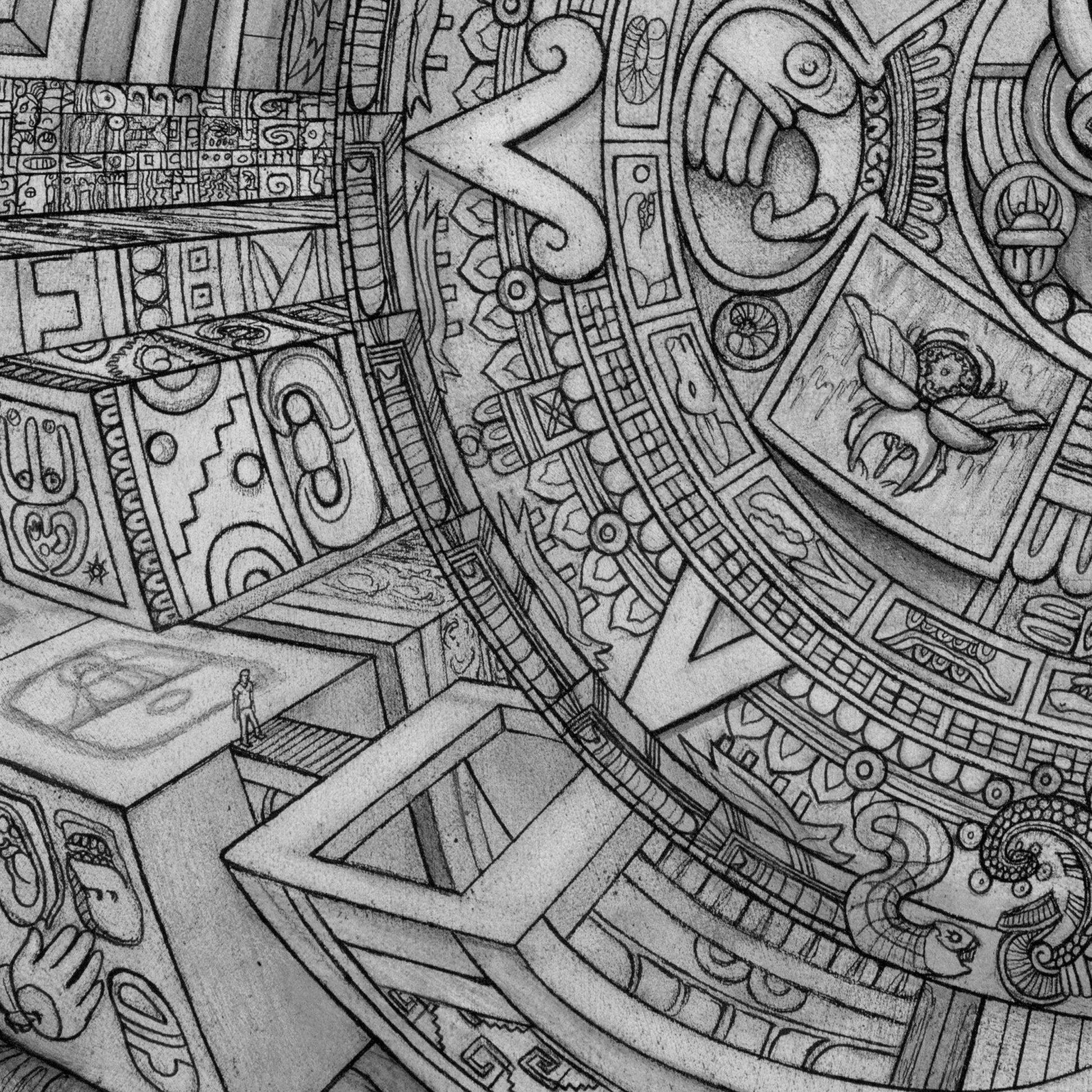 detailed illustrations