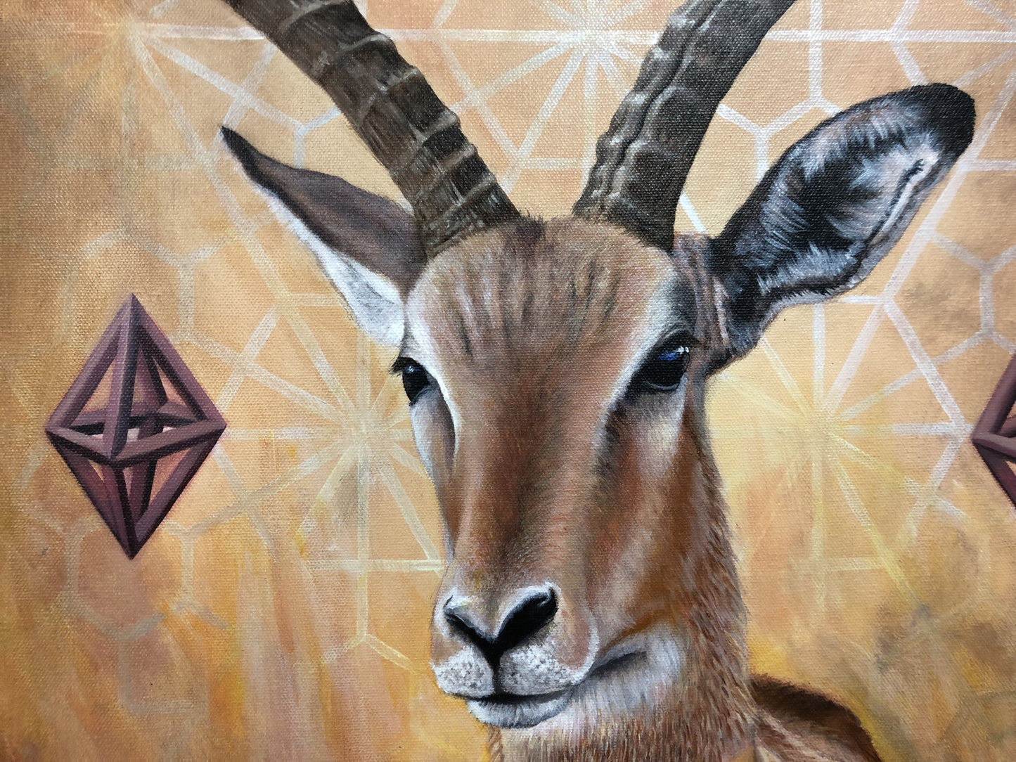 Iteration 89: Antelope/Action