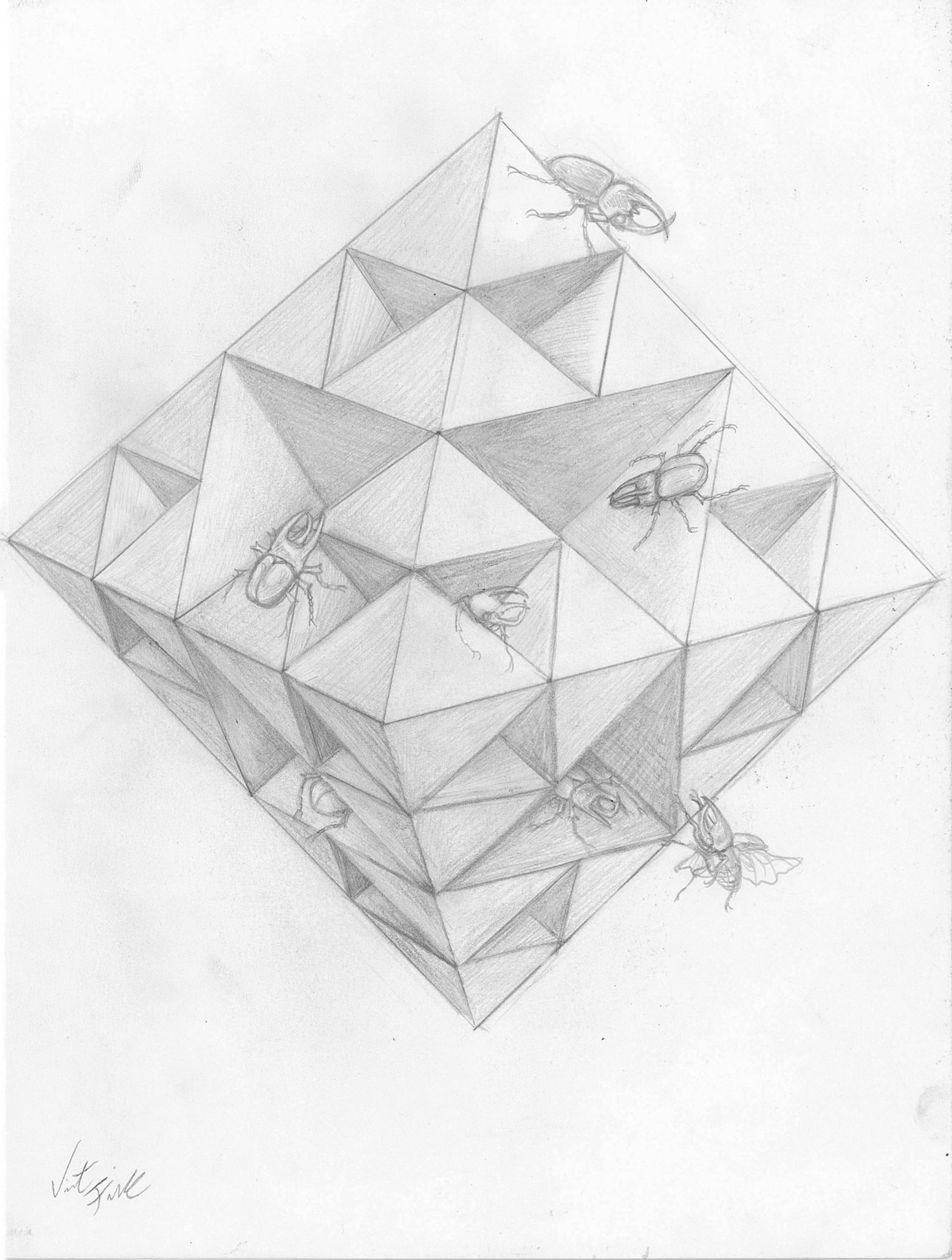 Beetle Sierpinski Octahedron Art | Original Art Paintings | Vincent Fink Art