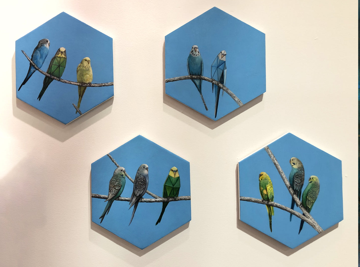 Birds of A Feather Flock with Strange Fellers 3