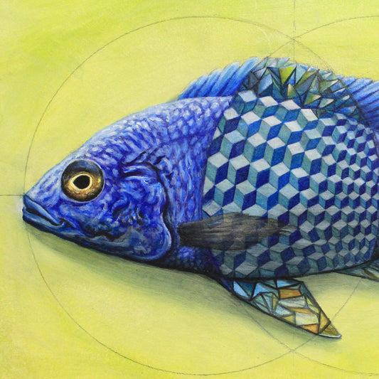 Iteration 68: Vesica Piscis Cichlid