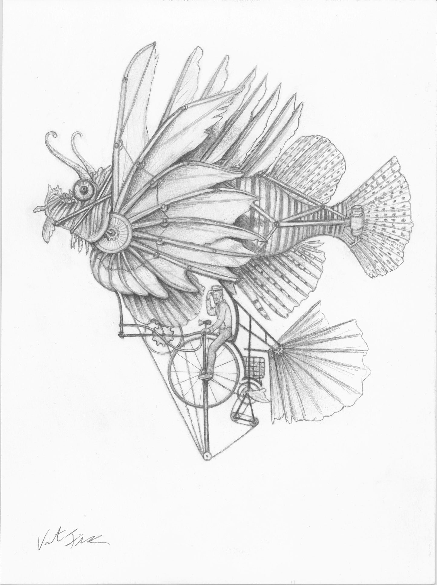 Lionfish Bicycle Flying Machine