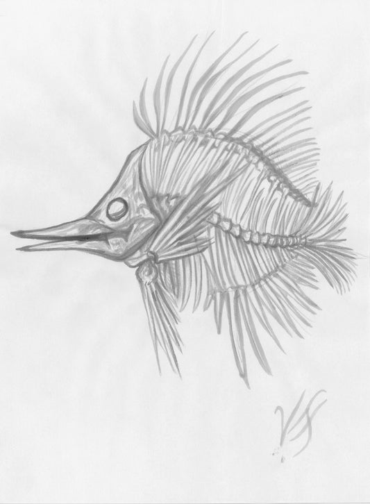 Skeleton Fish