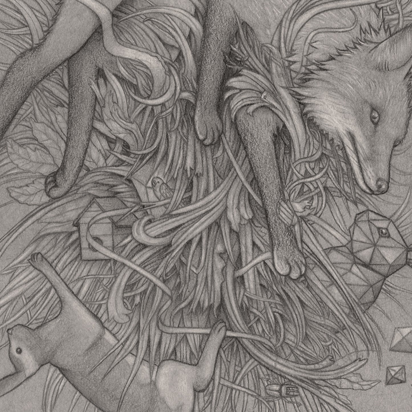 Fox Trot