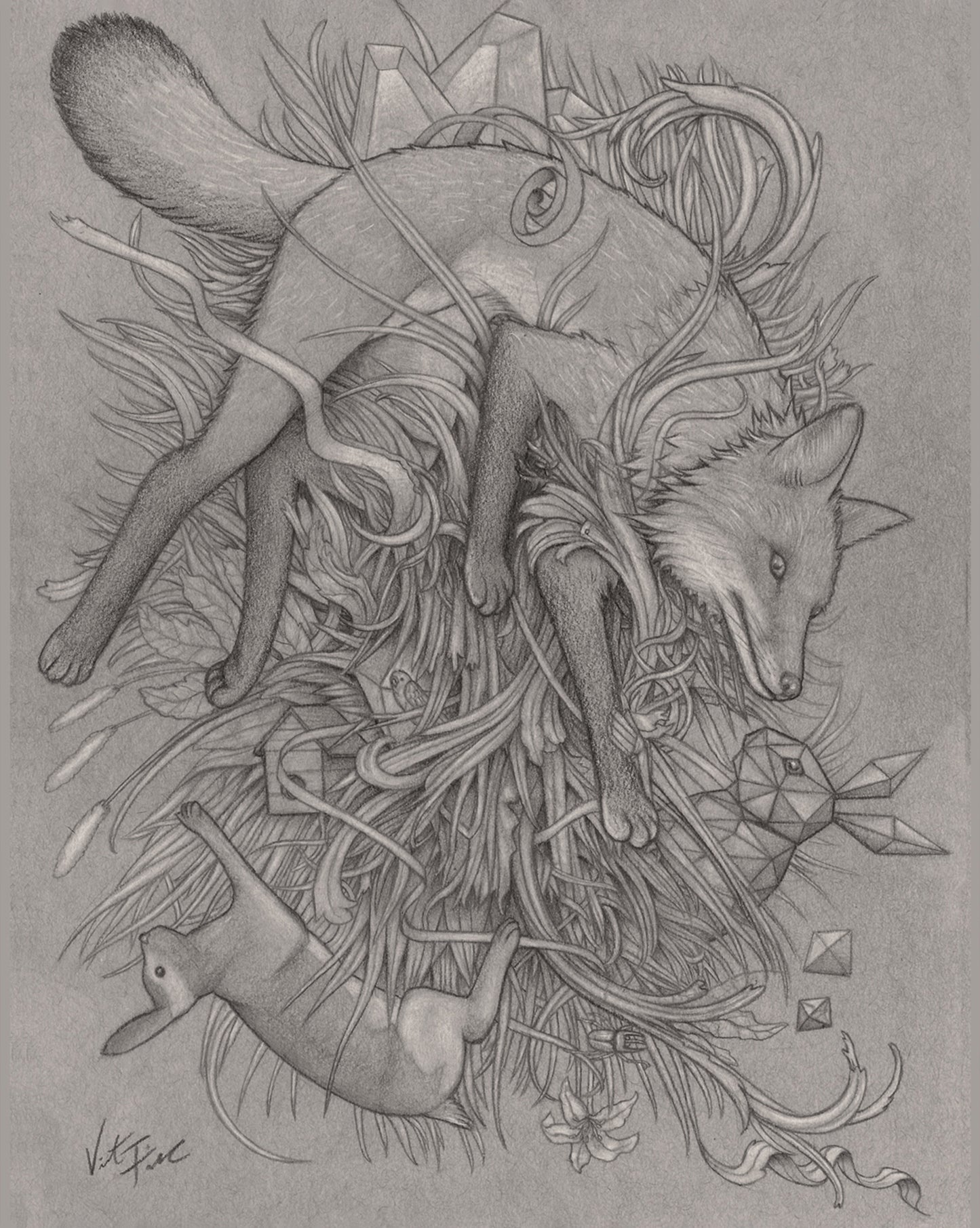 Fox Trot