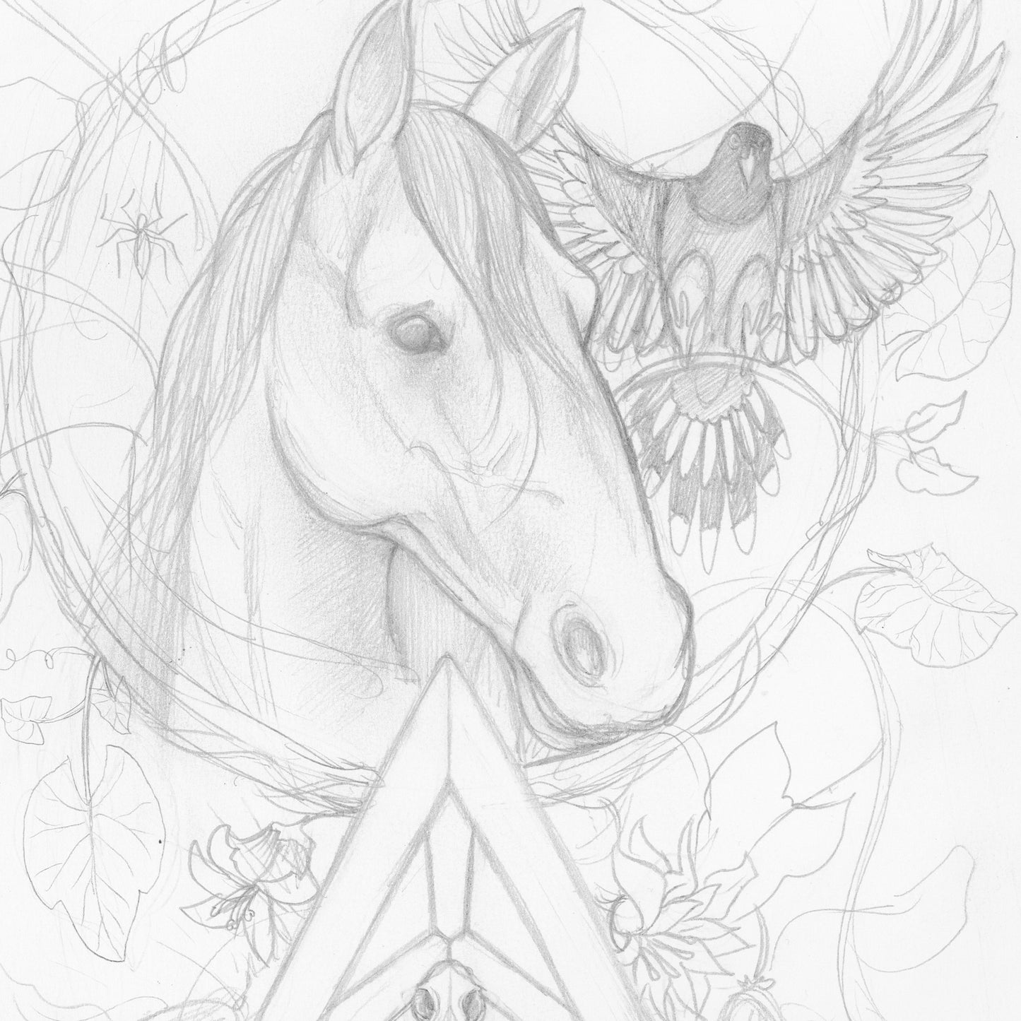 Horse drawing
