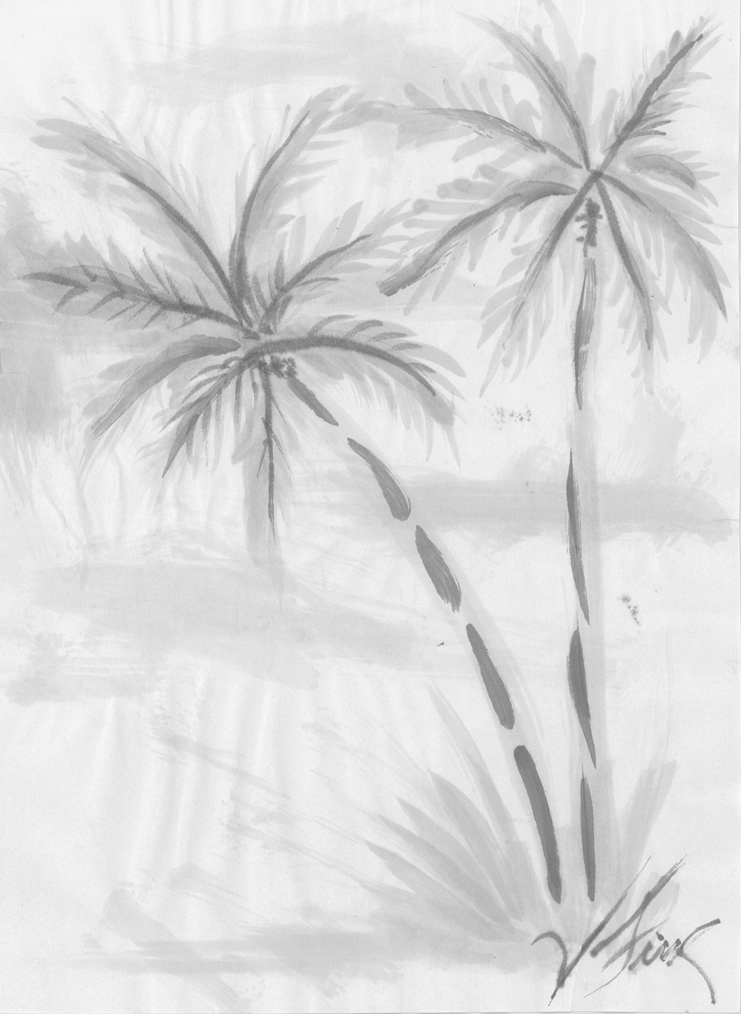 Palmtrees
