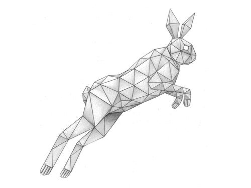 rabbit pencil drawing