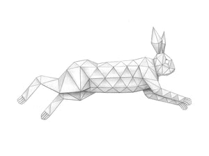 geometric bunny