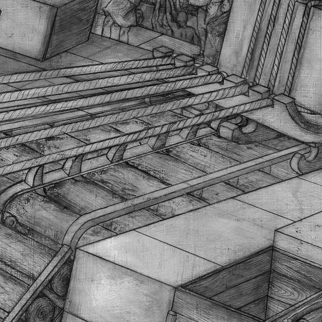 Atlas Metamorphosis Stage 3 of 4: King Pupa