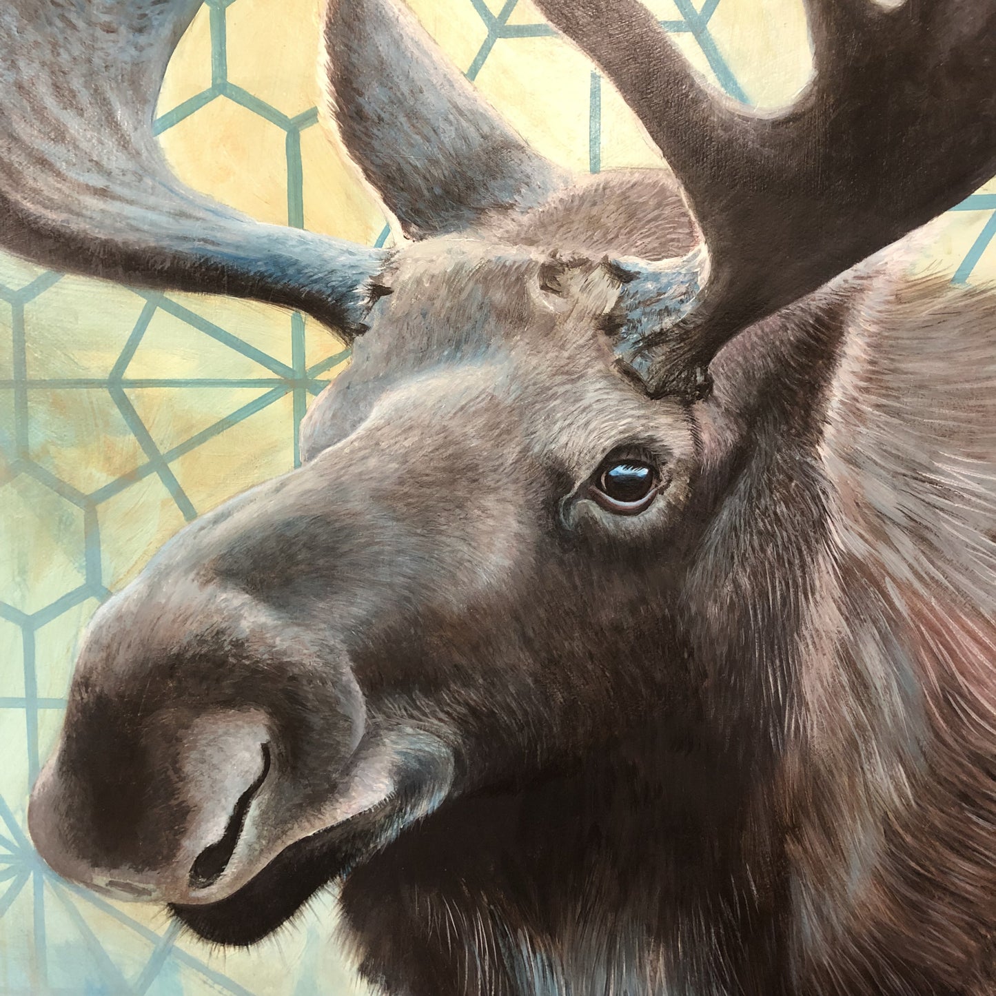 Iteration 79: The Moose-Integrity