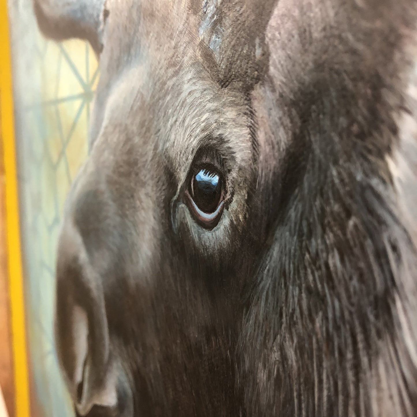 Iteration 79: The Moose-Integrity