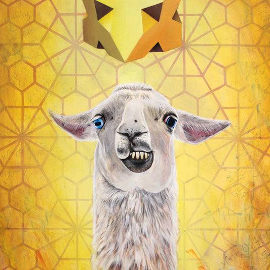 Iteration 81: Llama /Jocularity