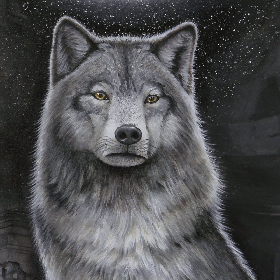 gray wolf